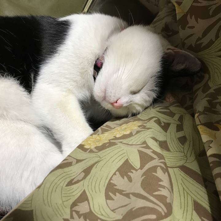 E6b5bb37 0c26 4550 875e 1222625c6e38