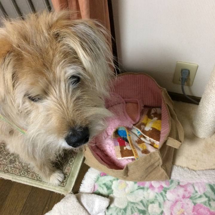 E6b5e900 619c 42f5 8151 757dca31f2e3