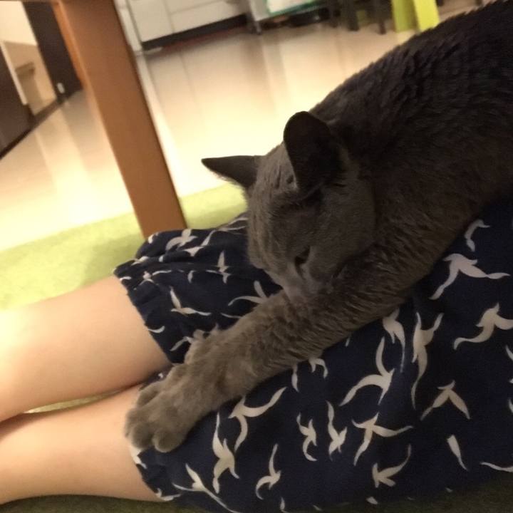 E6b679ad 8b8d 406d 8afb 819ad114db82