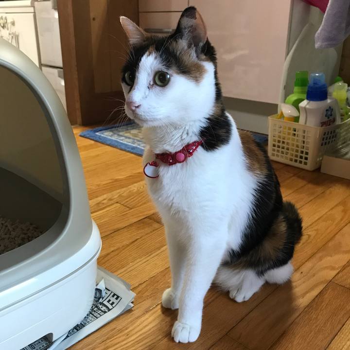 E6b6acfe 3907 4db6 b532 b613c7b8cb9a