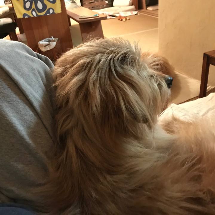 E6b70543 0bcf 4f3e 975c ae363f21a997