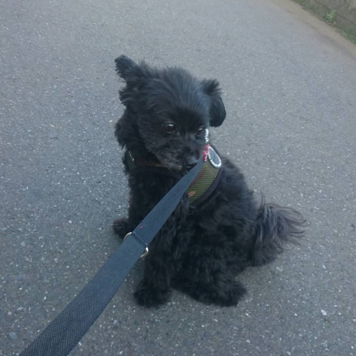 E6b70c99 5c1e 4e45 ba08 ea2206259257