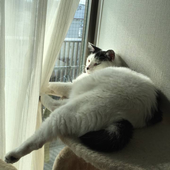 E6b74097 d08b 4c66 8edc 31c72dc9c327