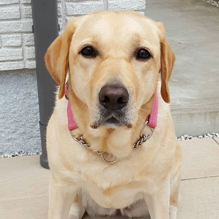 E6b742db 1e02 4a5d 8cf1 acde355b4569