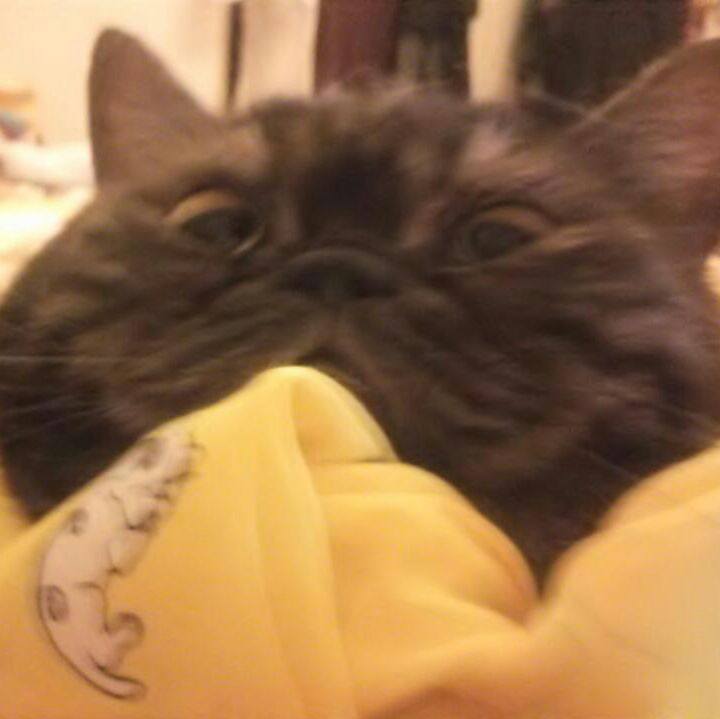 E6b794ac d825 48aa 8578 4366de5e7f6b