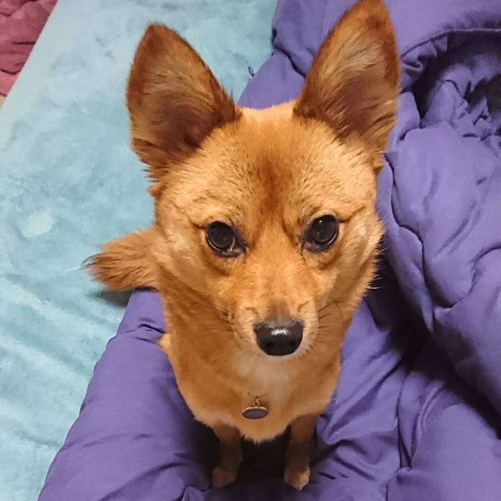 E6b84eae ee0f 4271 906b 2313be8d3c48