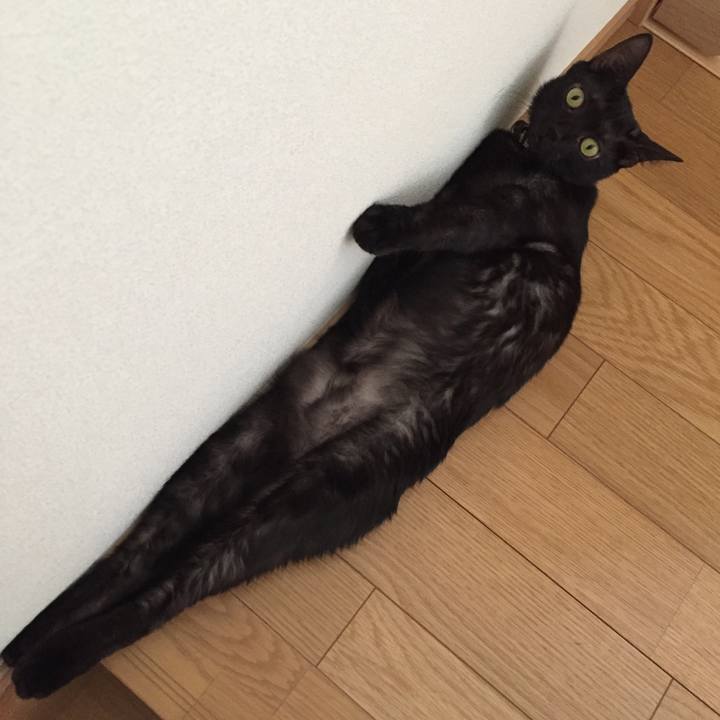 E6b8eec6 7035 4af0 aae0 33b1c9177e9e