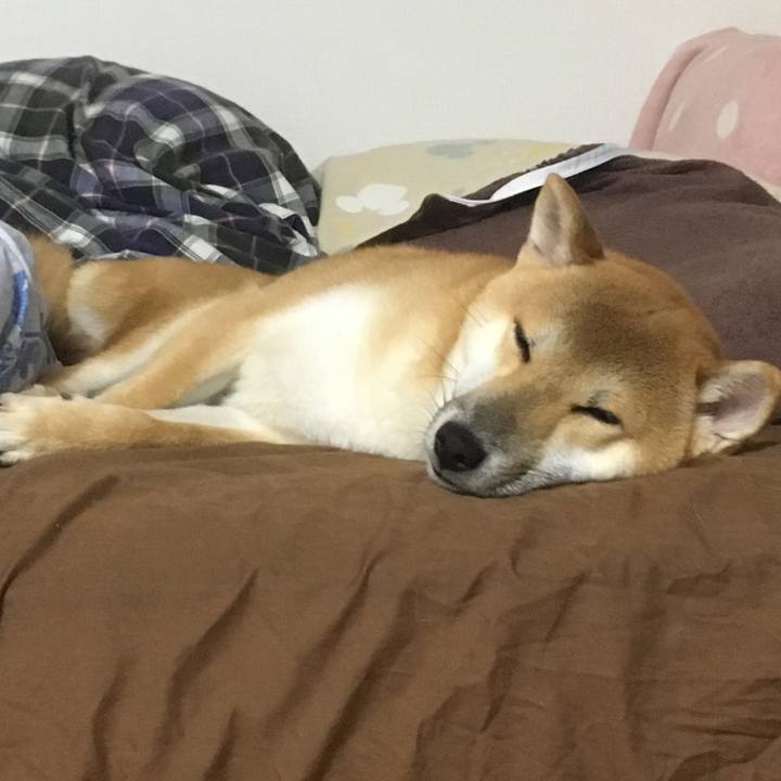 E6b9977b 6bff 419f a741 e810f0aec110