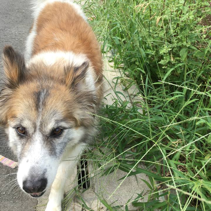 E6ba8f46 7ef9 4ce6 9305 2435ba6a7e3e