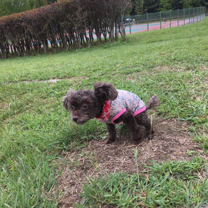 E6bb5a2e eab2 4d6a b9fe 7798ed7f51ba