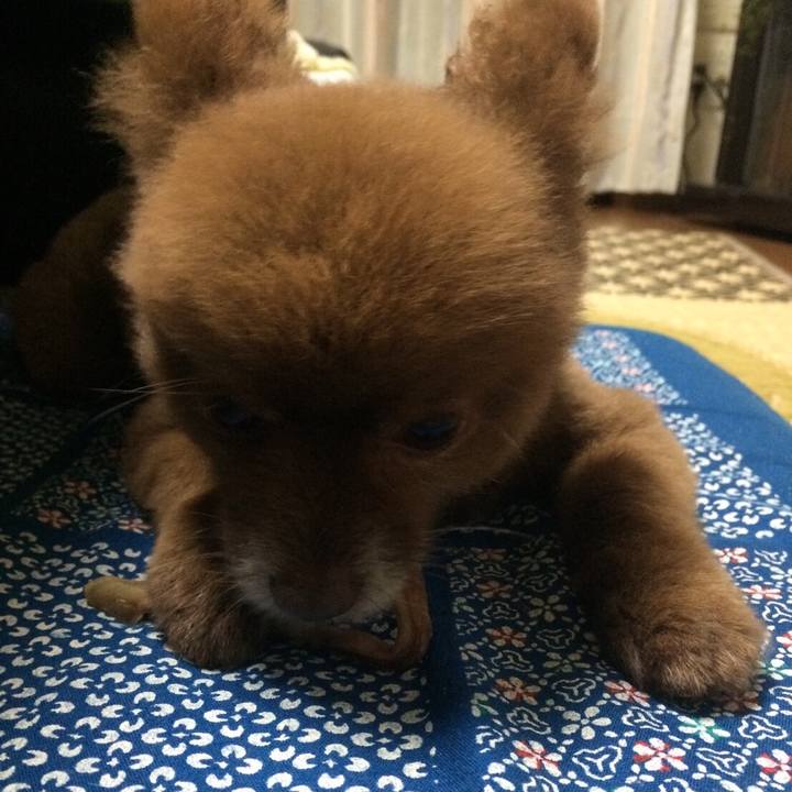 E6bb698f f441 42b0 b5f7 26f256cfe892