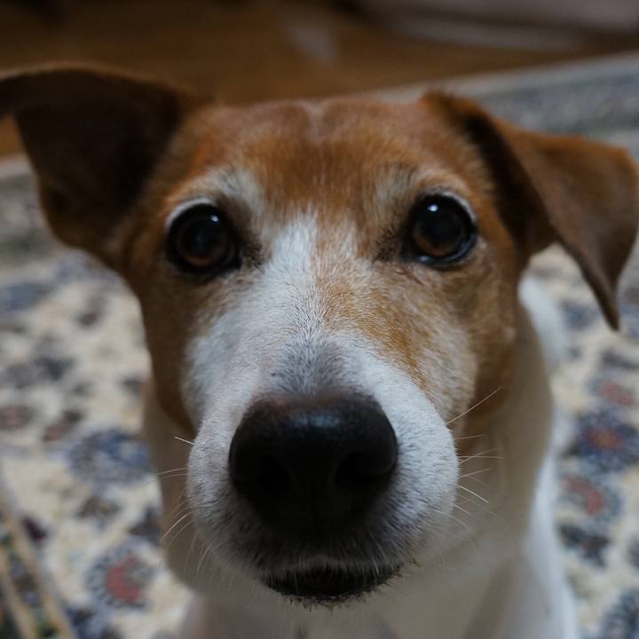 E6bb8638 89bb 4570 ae62 230692eda37a