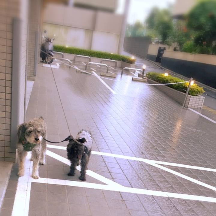 E6bc19a8 1613 48e9 b108 f4acb33cefb0