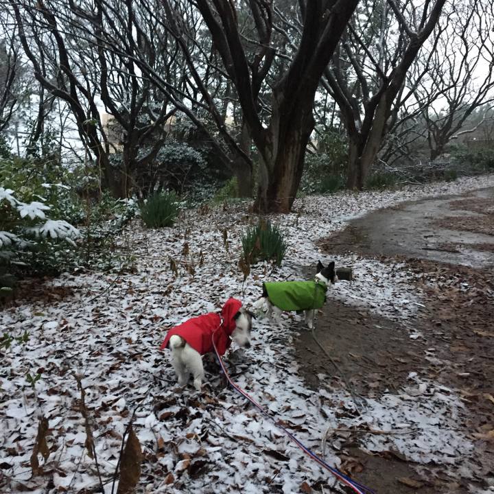 E6bc433c fcd1 4c38 bfe0 d90dd613d35d