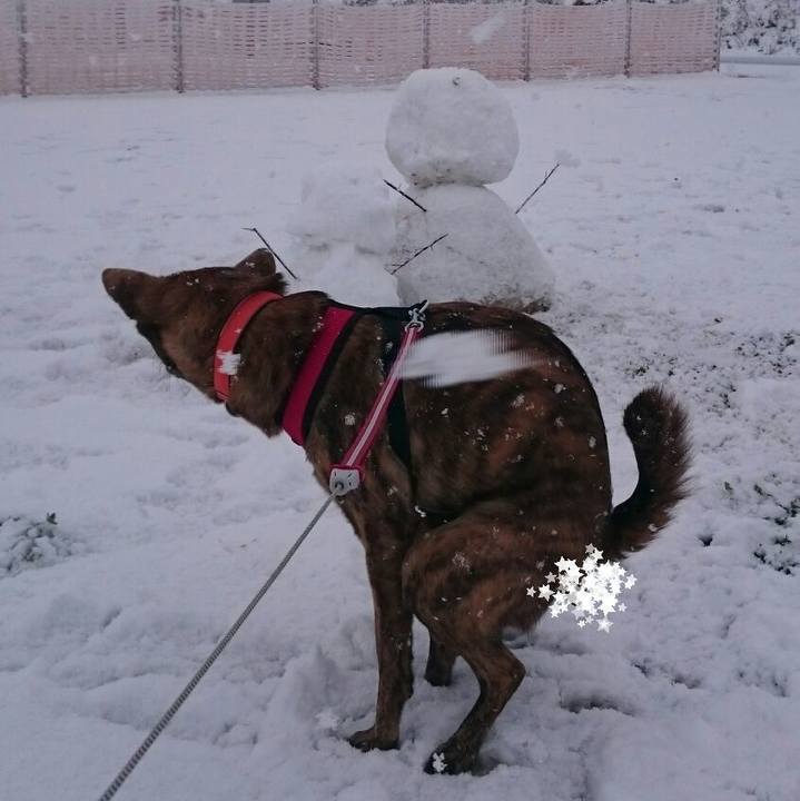 E6bcde48 60d7 43e2 a4c1 f9a0e9cab4d4