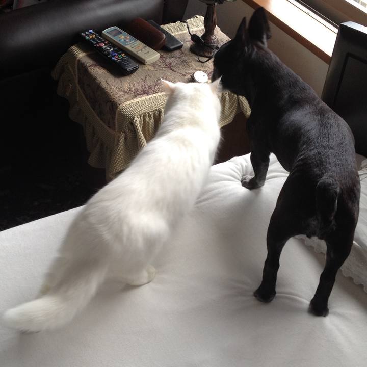 E6bd31c2 f3bd 442c a39b 0614e9cb3f21