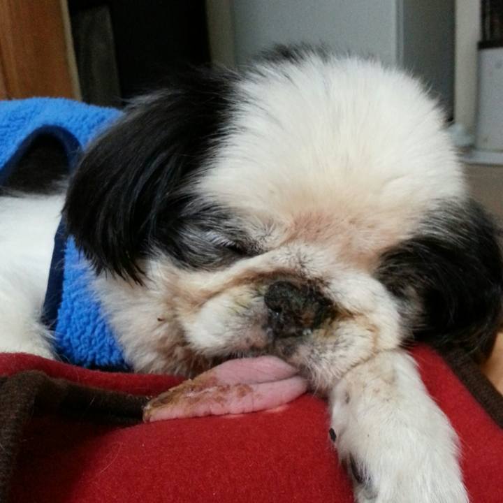 E6bd4c19 6072 4af8 8ad9 2004ac8dacd1