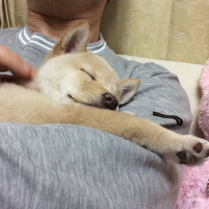 E6bde7f4 9680 40e3 a6d4 7e435d0d5ad0