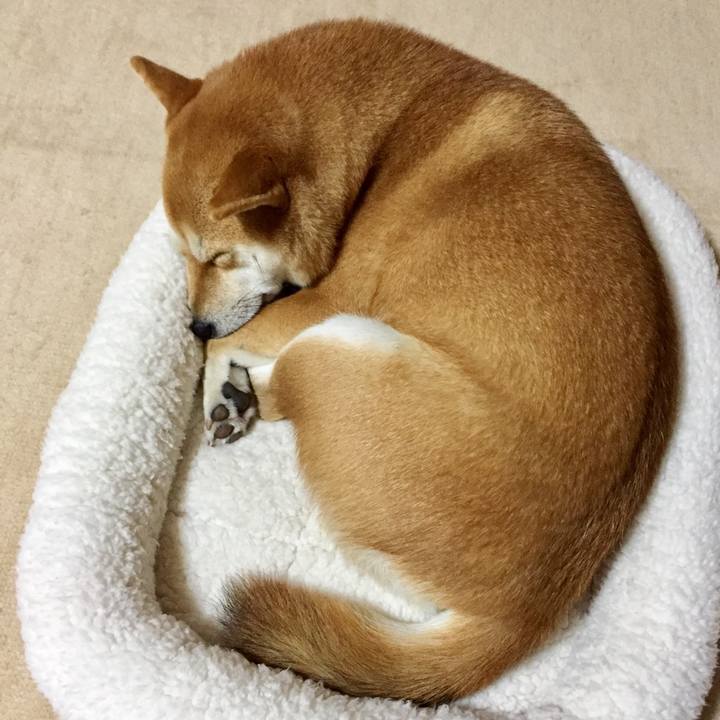 E6beb1e2 7ec6 4379 ae96 055ac87d2958