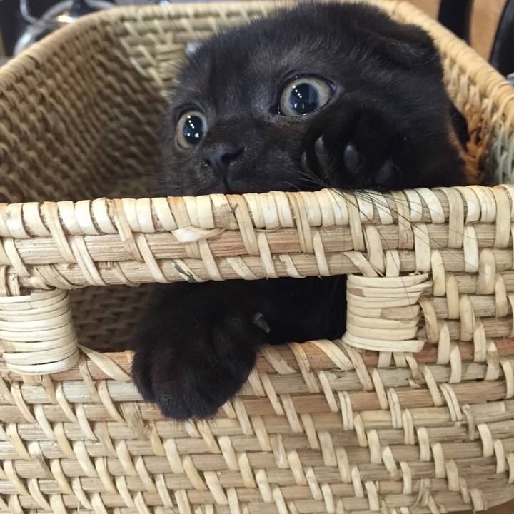 E6bf0a65 ce7a 4576 8755 e98c418064a5