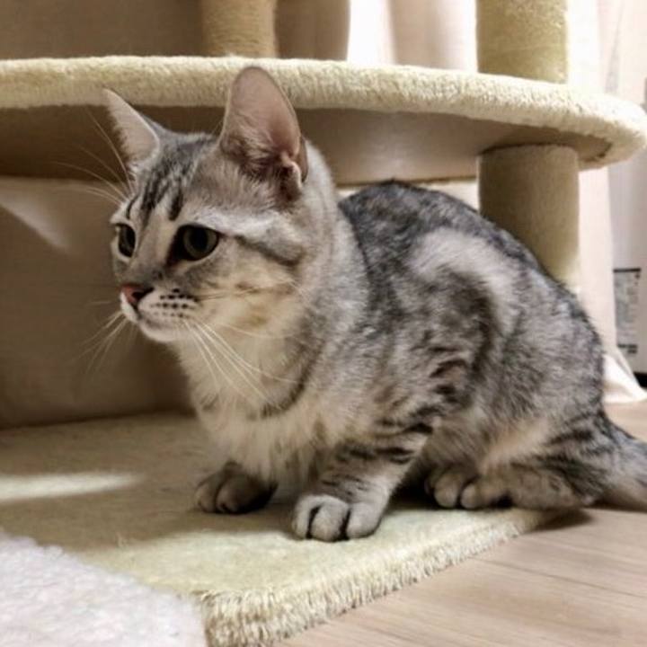 E6bf46bf 794b 4e34 8ba3 a94ef346a2a3