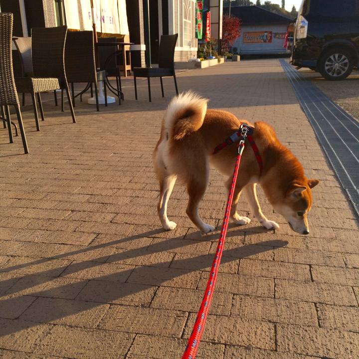 E6bf48d7 e968 4854 b7d6 d10905e23944