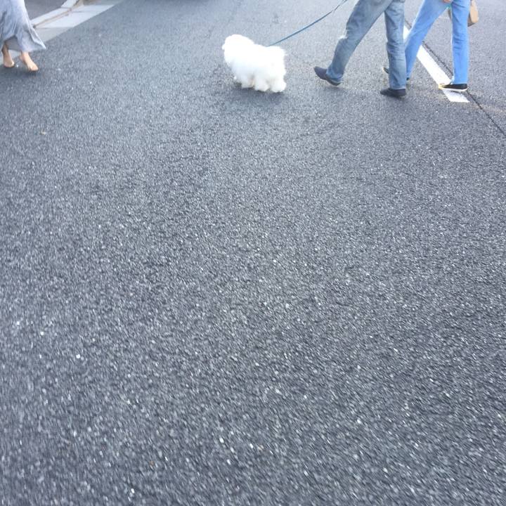 E6c1642d 3bd1 46f2 841e 1fb074078ab7