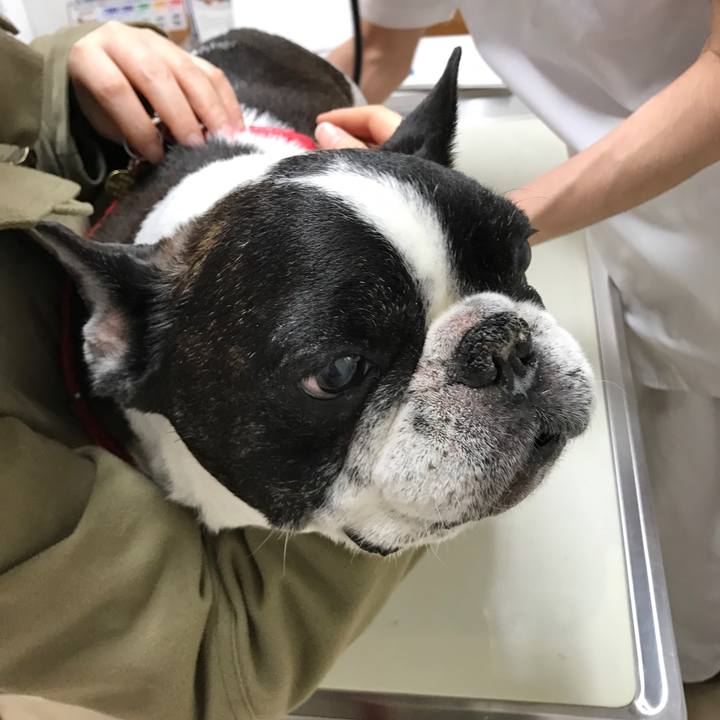 E6c18fab 1d48 4e57 b2c5 b08305cccc99