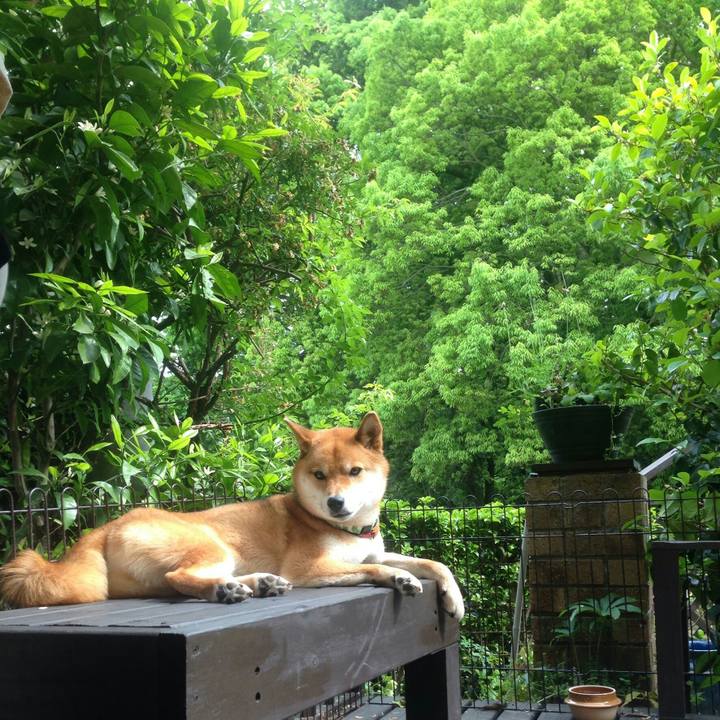 E6c1ae07 40ca 485f 8456 70db6a7d69fe