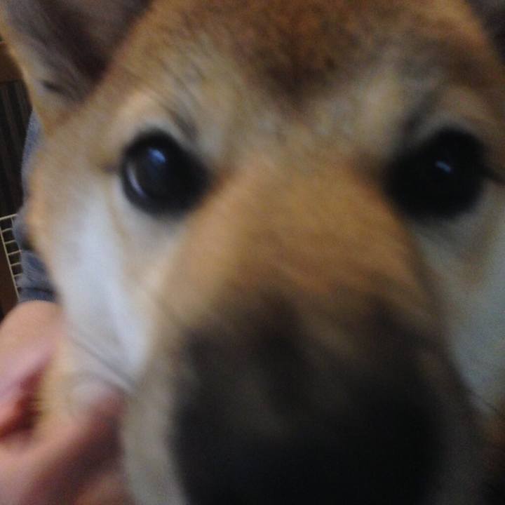 E6c29e0b 5ae6 4896 a866 26fad3964566