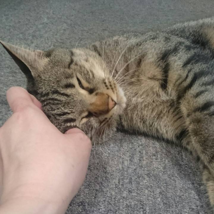 E6c2a004 96a4 443e 9f3e 7d5df0002b20