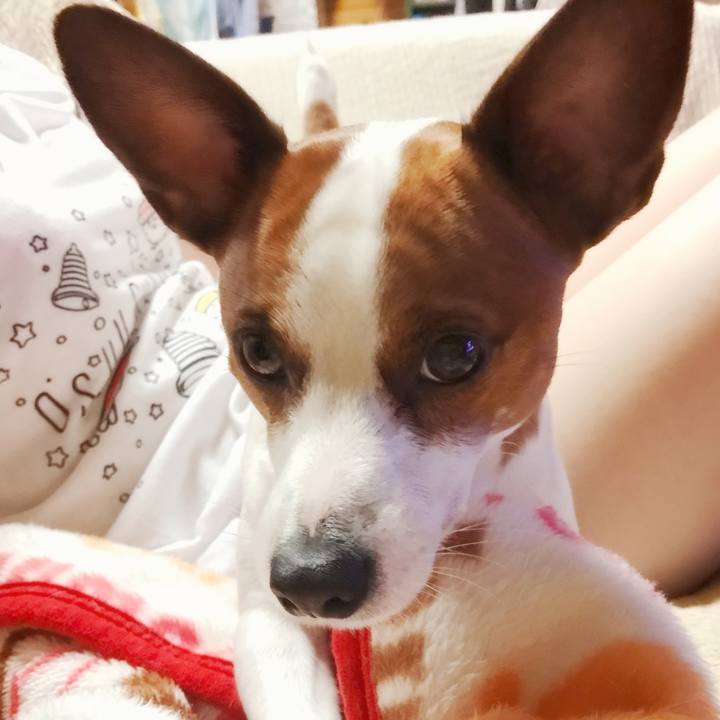 E6c32458 1a45 460c 86cc c2ee6a847fd2