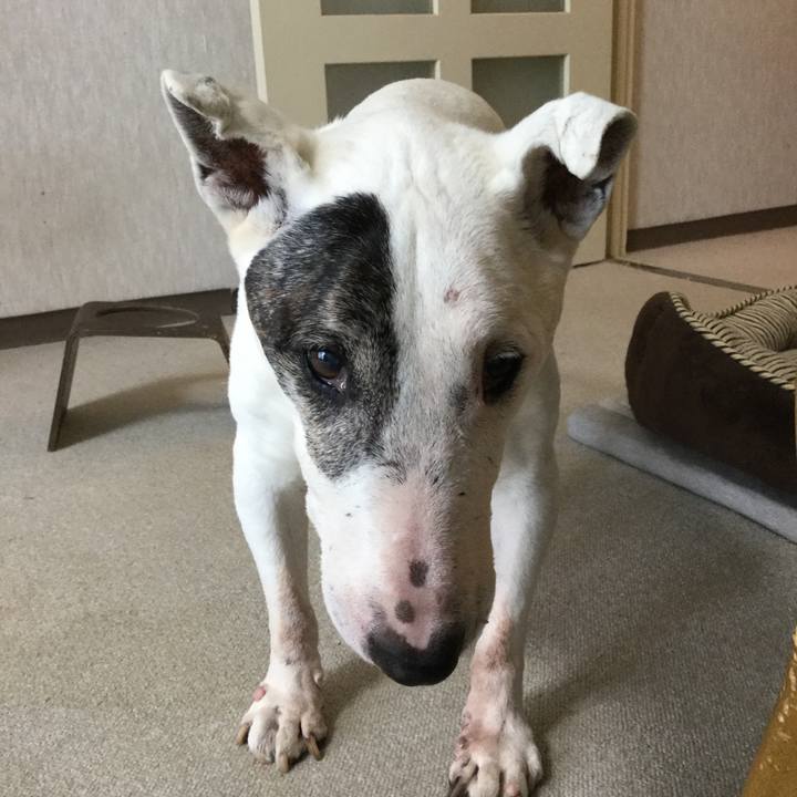 E6c38e03 02c0 439e bf50 8dfe67c66fd4