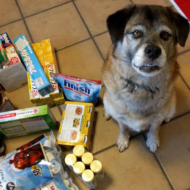 E6c482d9 f39c 4cd1 b001 fcf986a827c8