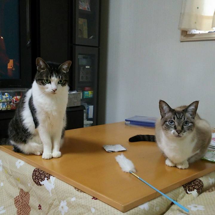 E6c4cf95 8202 4f4b 8a61 5295d0eaa59e