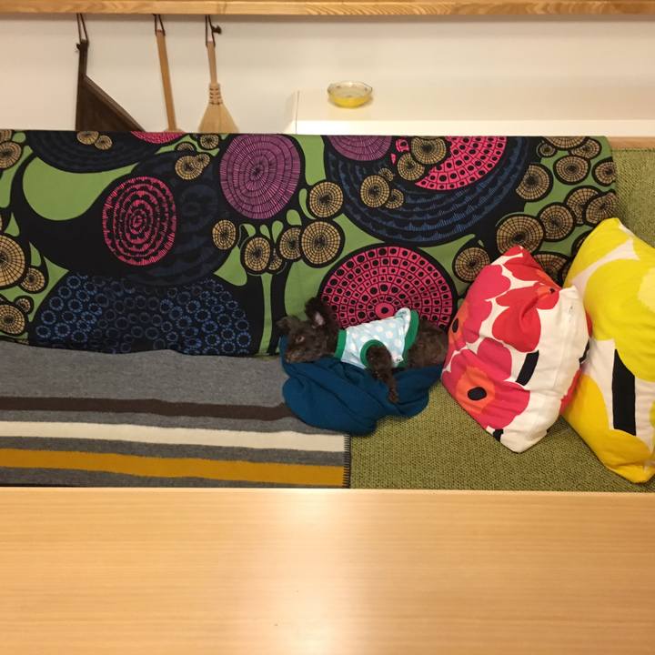 E6c51990 92ad 4e58 842e 5edb605c547c