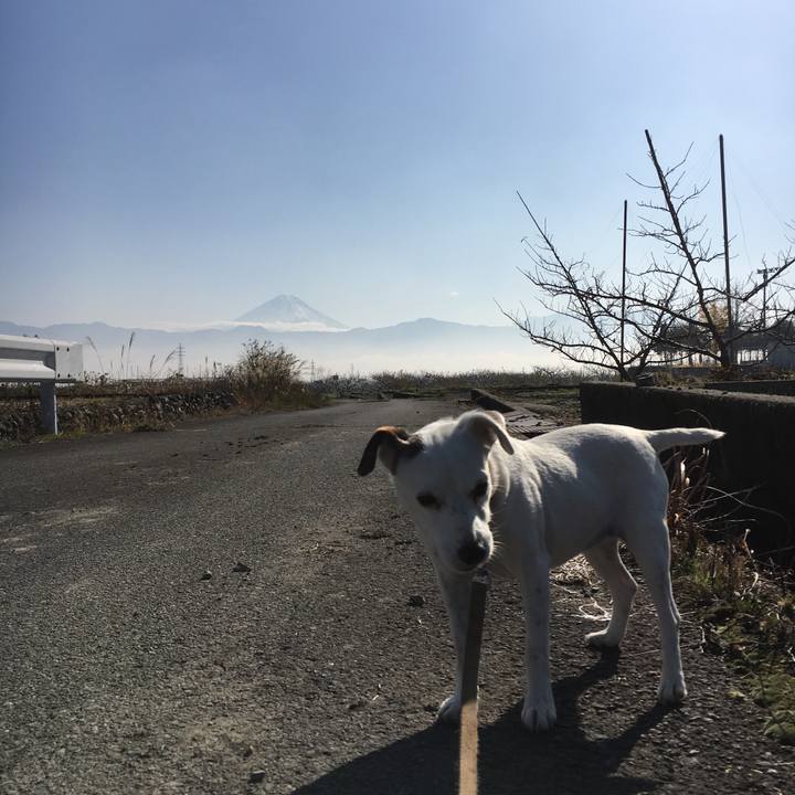 E6c5d175 422b 4f56 b47e 50acca0ac7e1