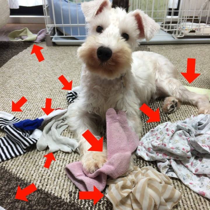 E6c620eb 14c6 42bc 997d 93355b0f2d21