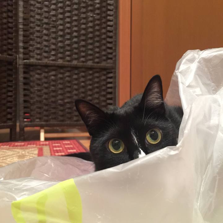 E6c7926d fd5e 4243 9654 5a333cf89cde