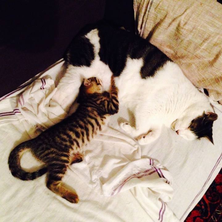 E6c97685 eb41 47bf b5ec 96b60423bbd6