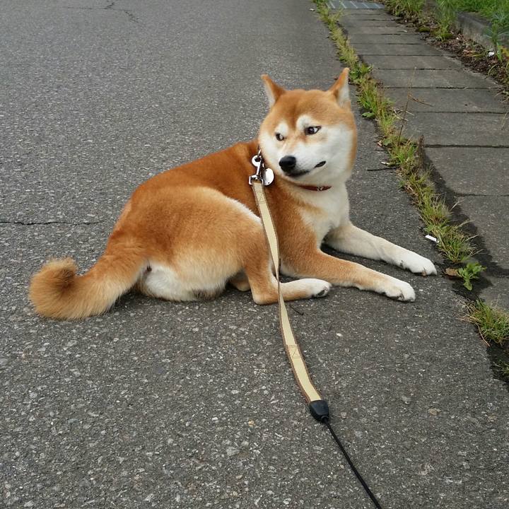 E6c9b0ef 5635 43d6 b351 9198f482a398