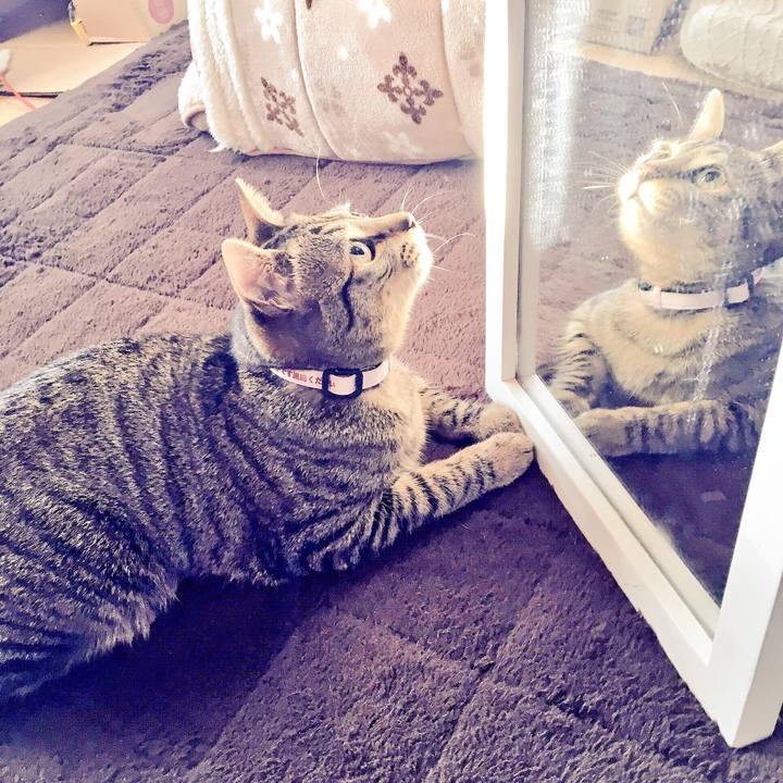 E6ca0192 c9aa 40f8 9533 15228f922d12