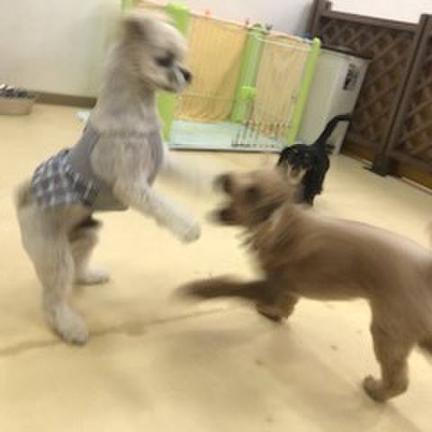 E6ca99e4 3bbb 4efa 9bf4 bac5416f032c