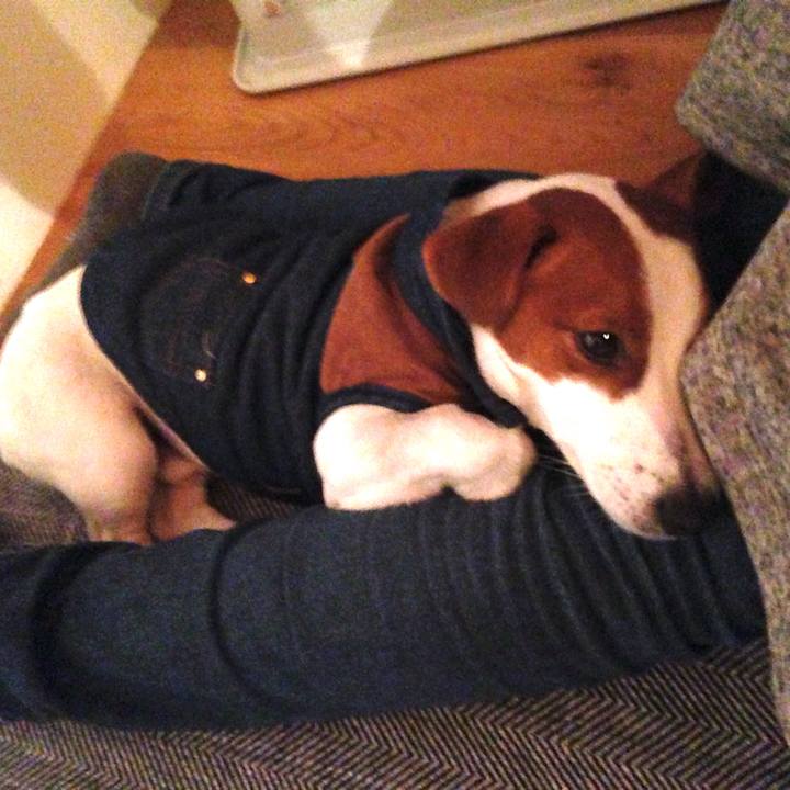 E6cae813 7c88 4561 8e8a 81ce0ee84083