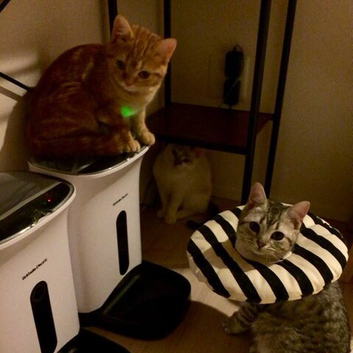 E6cc601c f6fb 437d aba1 6785b8428fbf