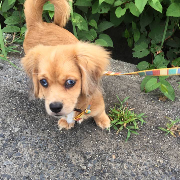 E6ccdf3e cfeb 4b41 8968 f496ded2b16e