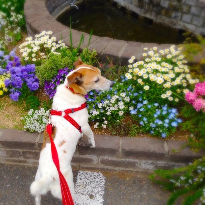 E6cdecb6 7680 4f45 a9c7 cfc92b08127a