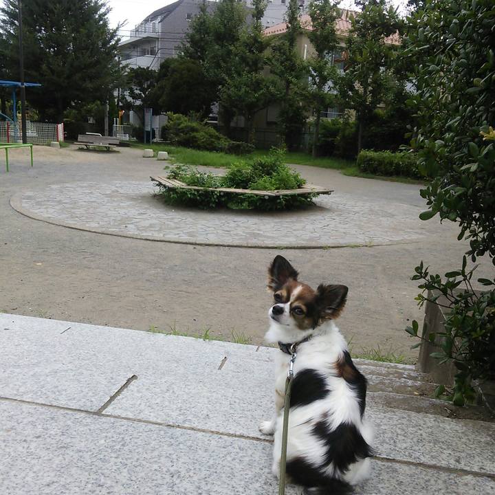 E6cf07c1 8163 4b88 887b a6f0e01ec111