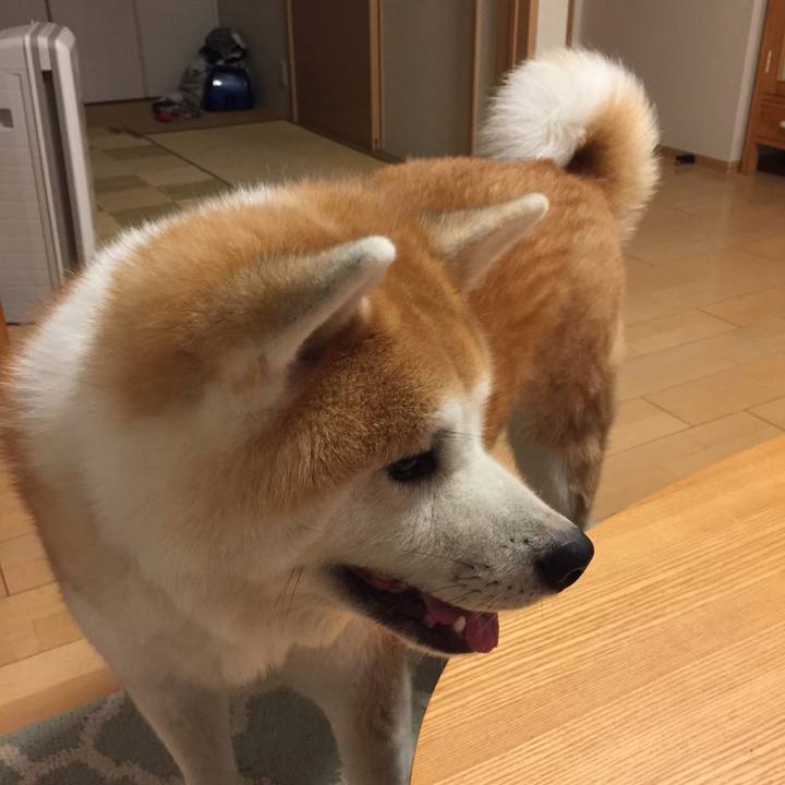 E6cfa028 828d 4e2a b362 1958d7c5f18a