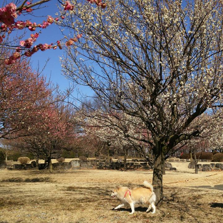 E6d0038b a2f8 44f4 844a 6ea9578267d6